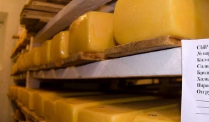 В Красногорском районе умеют делать хороший сыр.