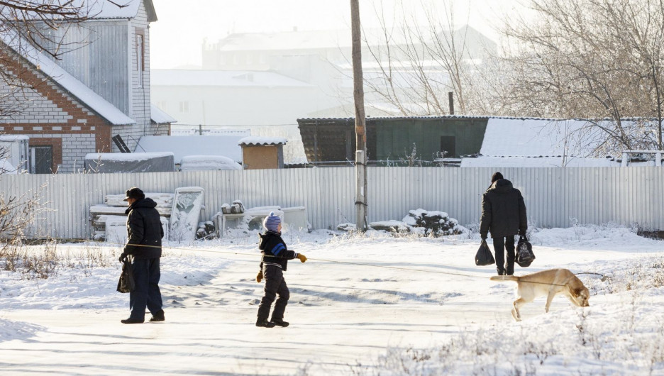 До -6 потеплеет в Алтайском крае 25 января