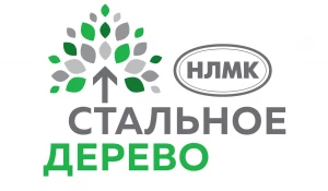Программа "Стальное дерево".