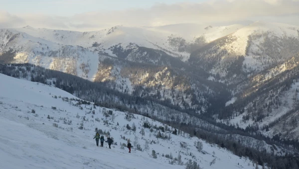 Барнаульцы покорили высшую точку Алтайского края.