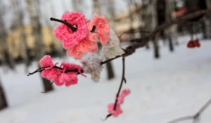 Вязаный стрит-арт в Барнауле.