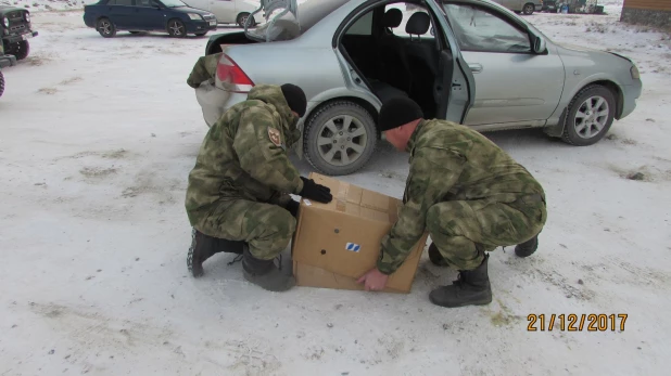 В Кош-Агачском районе пожарные спасли от собак лебедя на замерзающем озере.