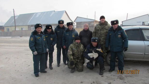 В Кош-Агачском районе пожарные спасли от собак лебедя на замерзающем озере.