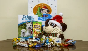 Новогодний подарок.