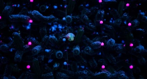 Новогодняя елка в Барнауле на площади Сахарова.