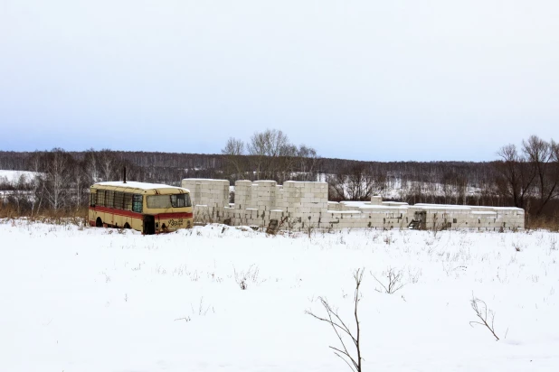 Конный завод "Глушинка" из передовика молочного производства превратился в должника 