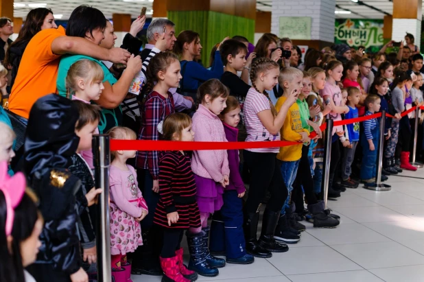 Семейный праздник "Новогодние узоры" в ТЦ "Пионер".