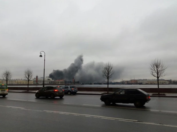 В Петербурге дотла сгорел автобус, перевозивший школьников из Барнаула.