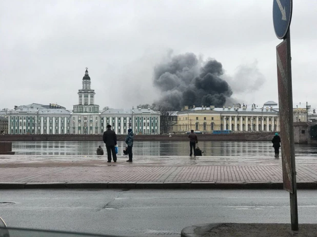 В Петербурге дотла сгорел автобус, перевозивший школьников из Барнаула.