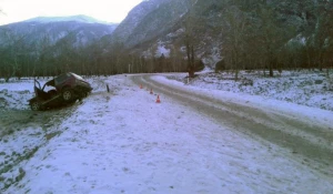 На Алтае опрокинулся автомобиль