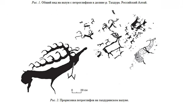В Горном Алтае нашли валун с огромным петроглифом.