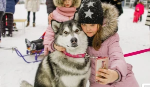 Большой новогодний праздник.