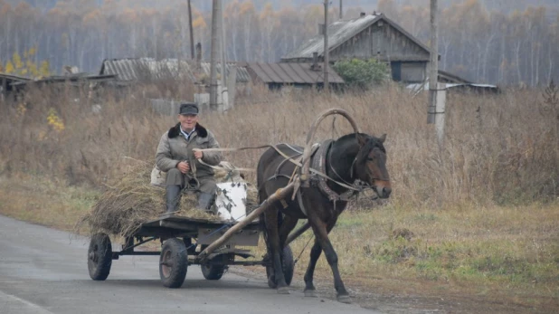 В сельской местности. Фото из архива редакции.