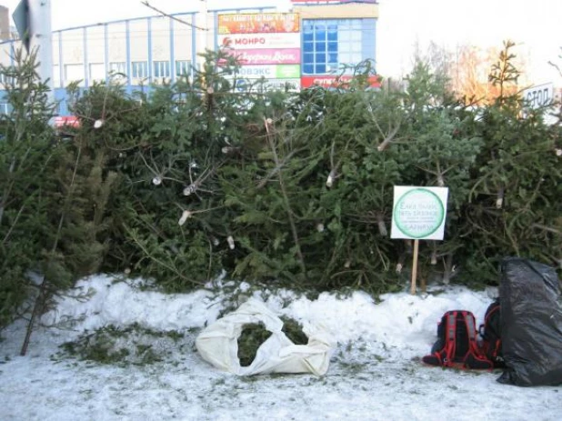 В Барнауле собрали елки