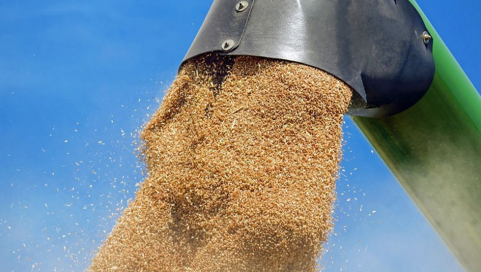 Разбор. Что такое зерновая сделка и почему Россия вышла из нее