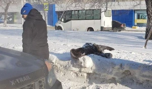 В Барнауле Toyota сбила женщину на переходе.