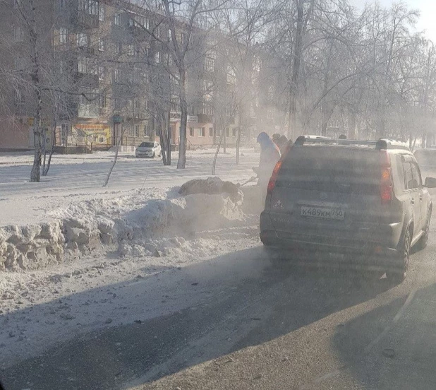 В Барнауле Toyota сбила женщину на переходе.