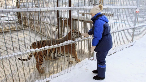 В барнаульском зоопарке зимой.