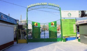 В барнаульском зоопарке зимой.