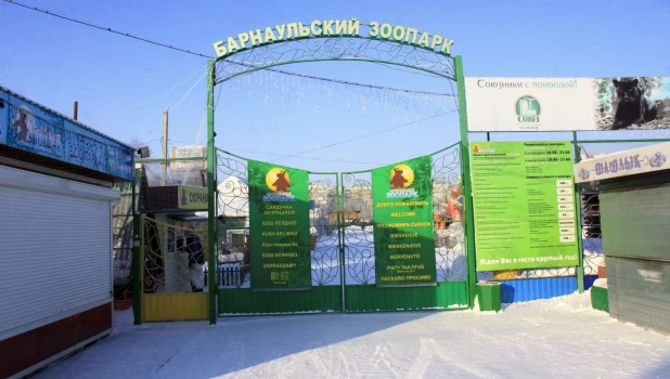 В барнаульском зоопарке зимой.
