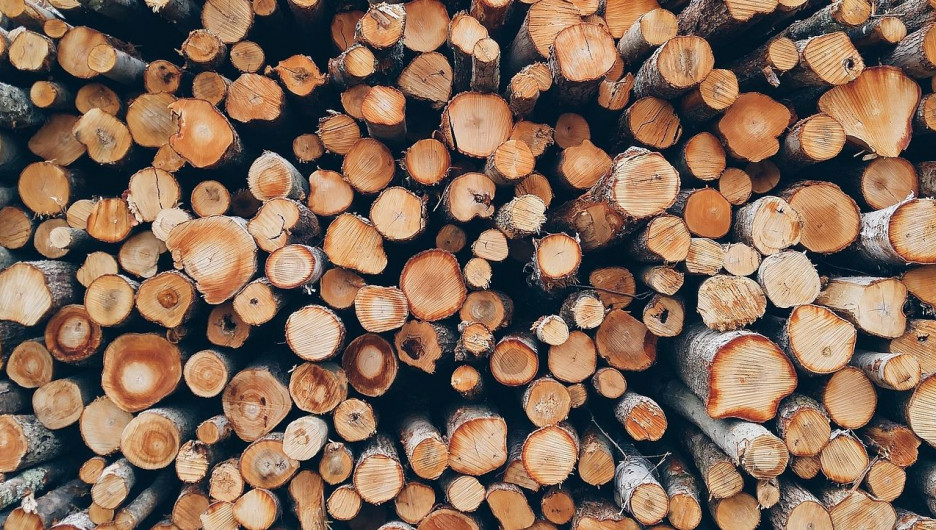 Сибирячку подозревают в контрабанде древесины на сумму более 20 млн рублей