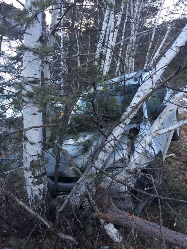 На Алтае Toyota слетела с трассы и врезалась в дерево, пострадали три человека.