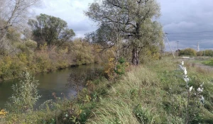 "Усадебный берег Фирсово"