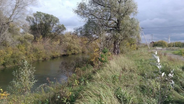 "Усадебный берег Фирсово"