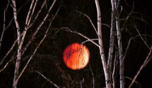 Кровавая луна на Алтае. 31 января 2018.