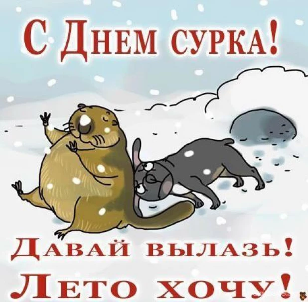 С Днем сурка.