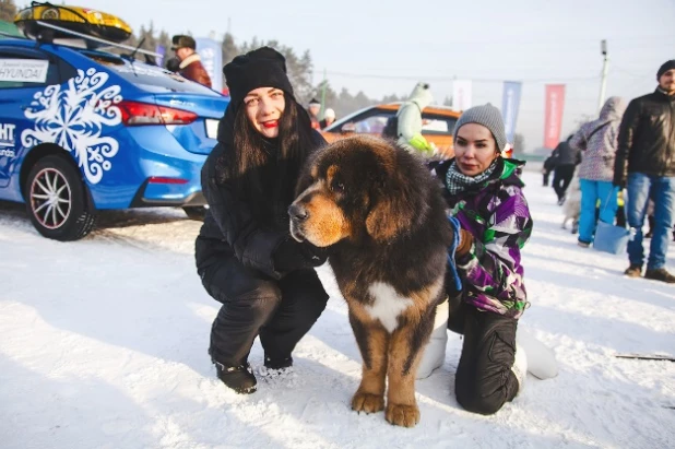 Семейные выходные с Hyundai!