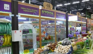 Садовод: готовимся к дачному сезону. 