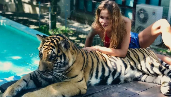 Sex With Tiger Порно Видео | avpravoved.ru