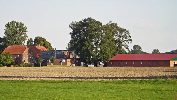 Весенние посевные работы.