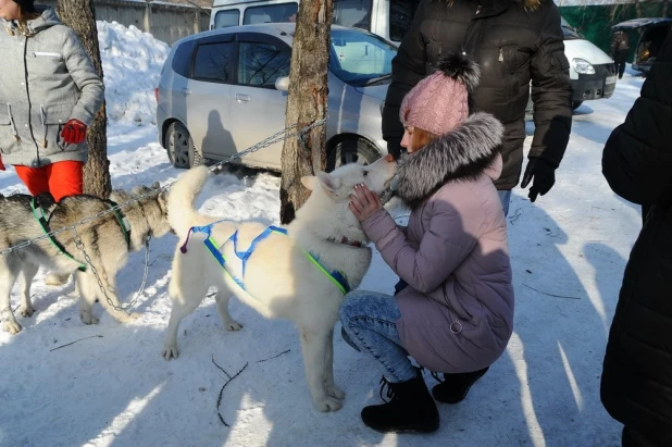 Как прошла Масленица в парке "Лесная сказка"