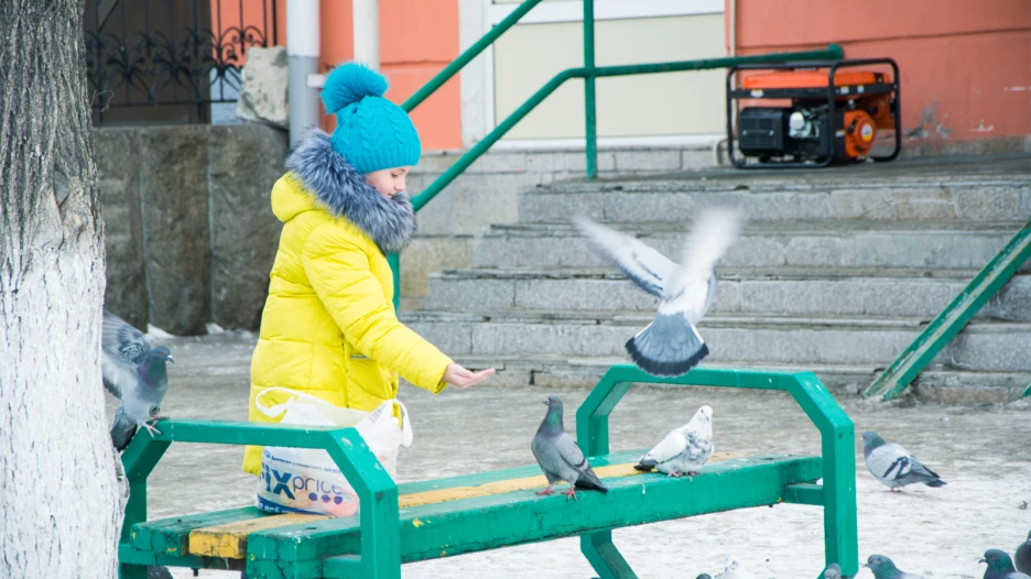 Последний день зимы.