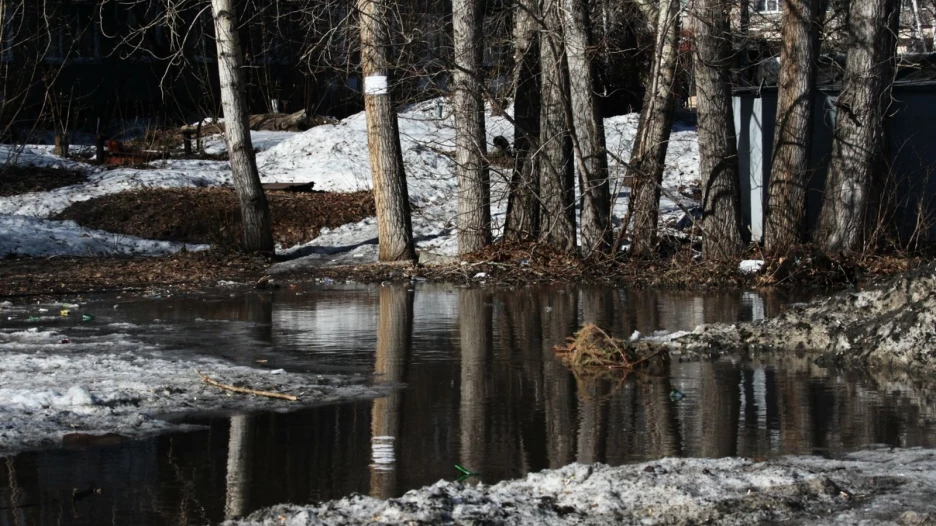 Весна. Март.