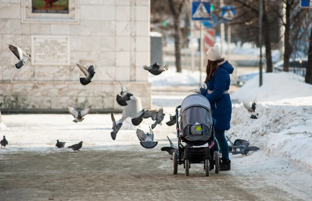 Последний день зимы в Барнауле.