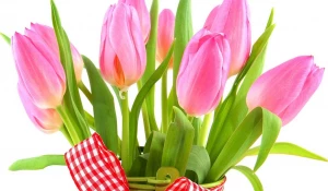 В Барнауле ко дню 8 марта пройдет дефиле на пешеходной улице.