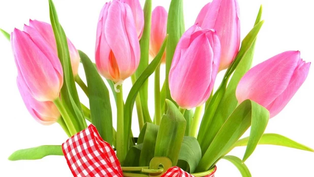 В Барнауле ко дню 8 марта пройдет дефиле на пешеходной улице.