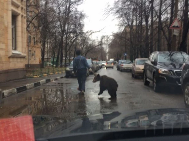 Снимки из серии "Это Россия, детка!".