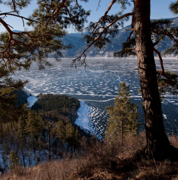 Село кокши советский район алтайский край фото