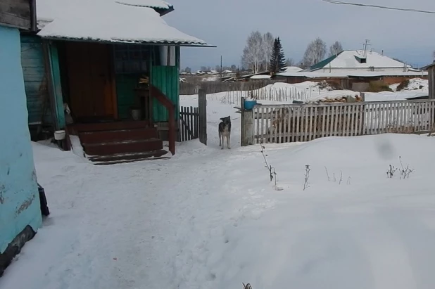 В Алтайском крае женщину подозревают в поджоге дома бывшего мужа.