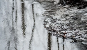 Мокро и очень скользко: весенний репортаж с улиц Барнаула.