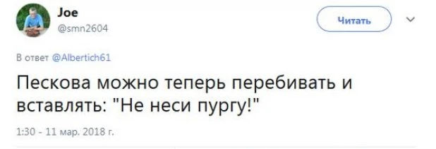 В сети оценили шутку Путина про несущего пургу Пескова.