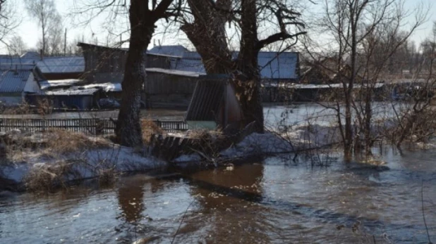 Паводок в Краснощеково.