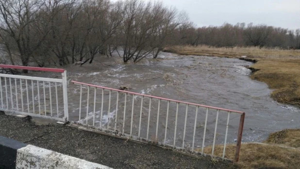 Паводок на Алтае 2018. Новокалманка.