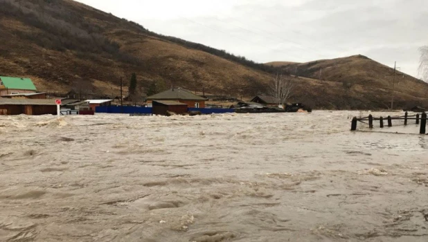 Паводок на Алтае 2018.  Вода в с. Солонешное (Солонешенский район)