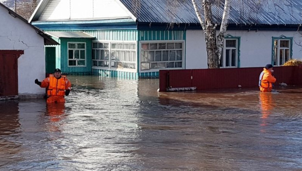 Сотрудники МЧС работают в затопленных селах Алтайского края. 