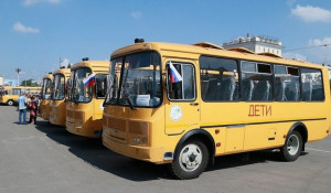 Школьные автобусы.